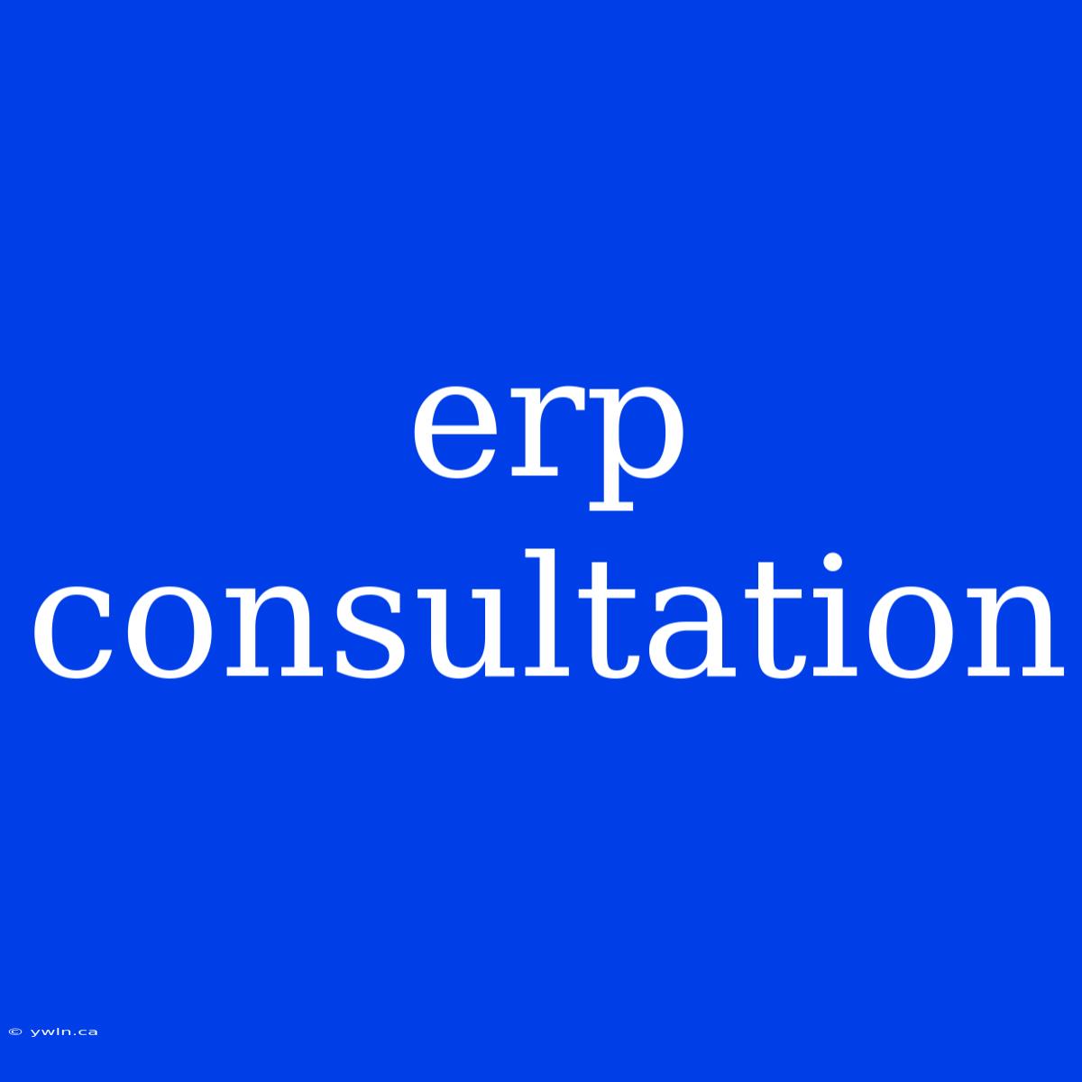 Erp Consultation