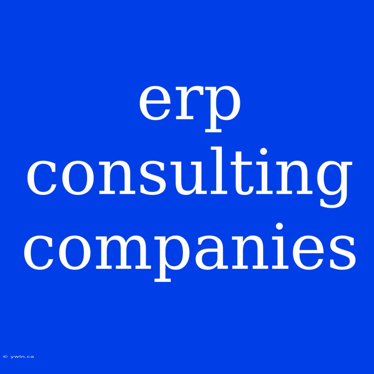 Erp Consulting Companies