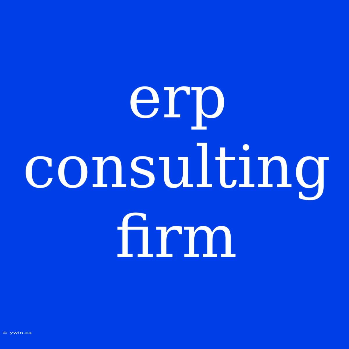 Erp Consulting Firm