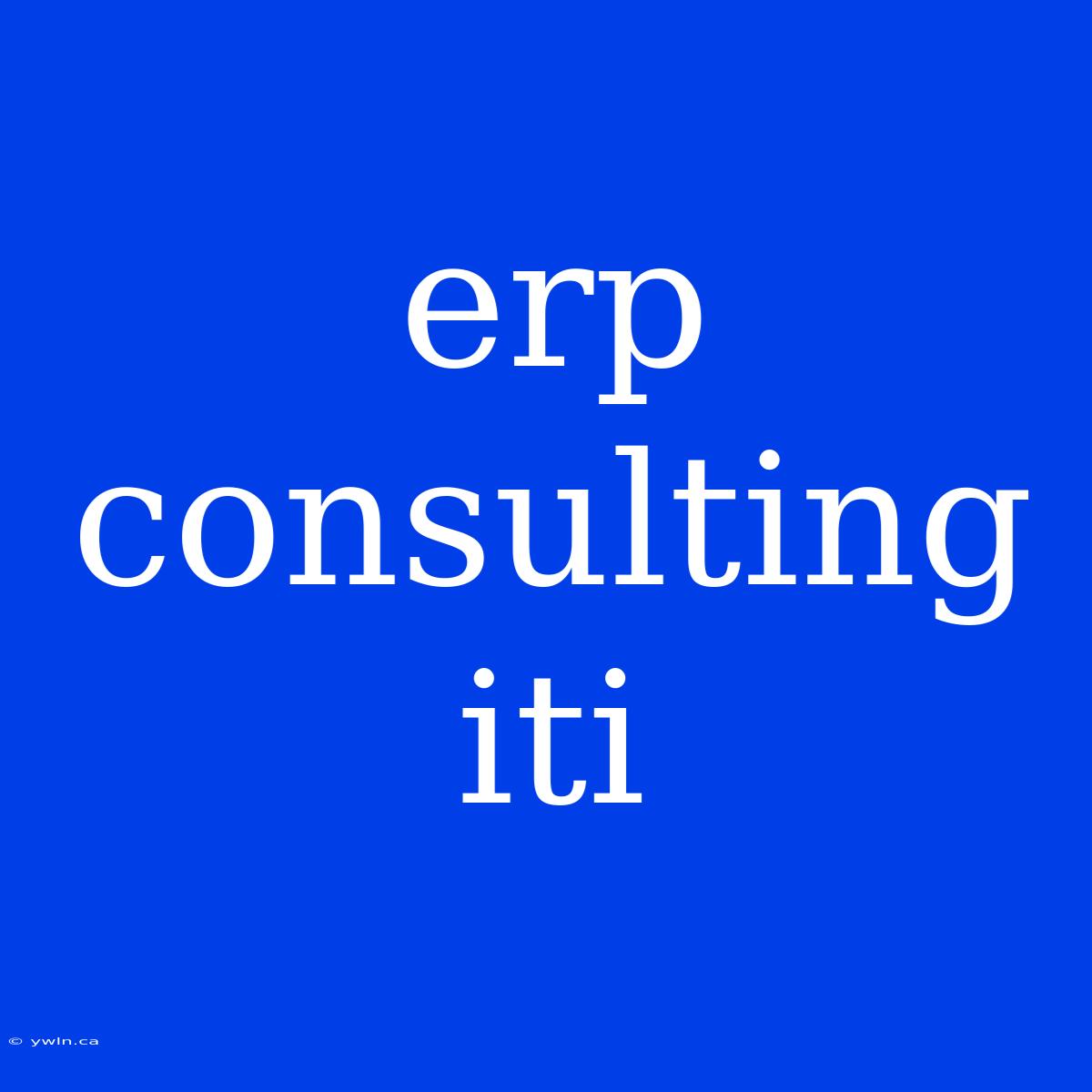 Erp Consulting Iti