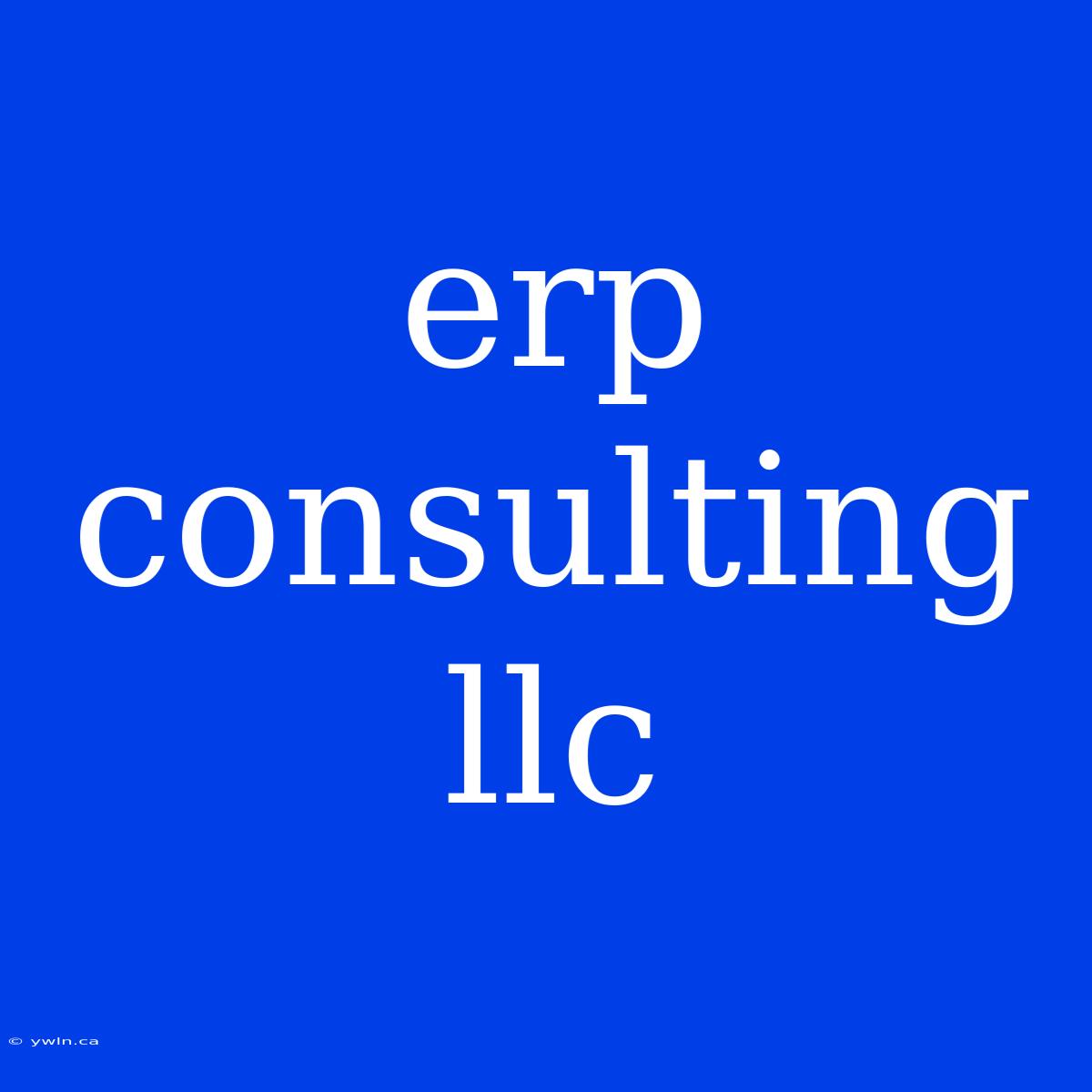 Erp Consulting Llc