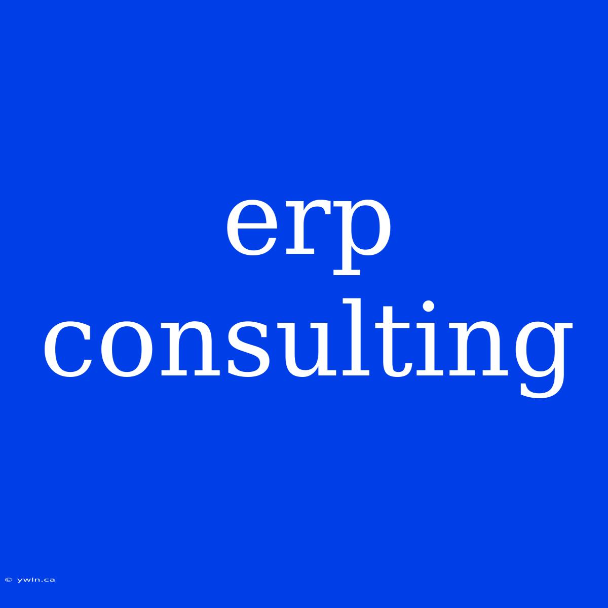 Erp Consulting