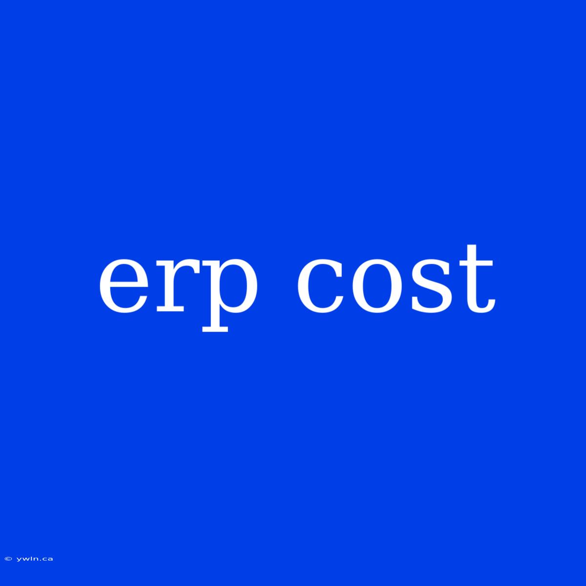 Erp Cost