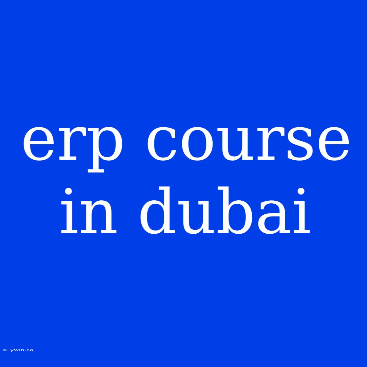 Erp Course In Dubai