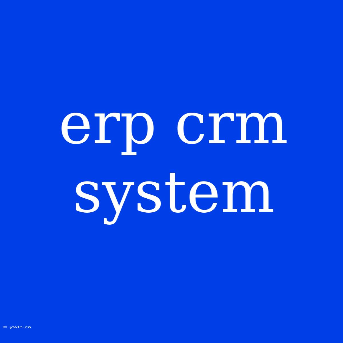 Erp Crm System