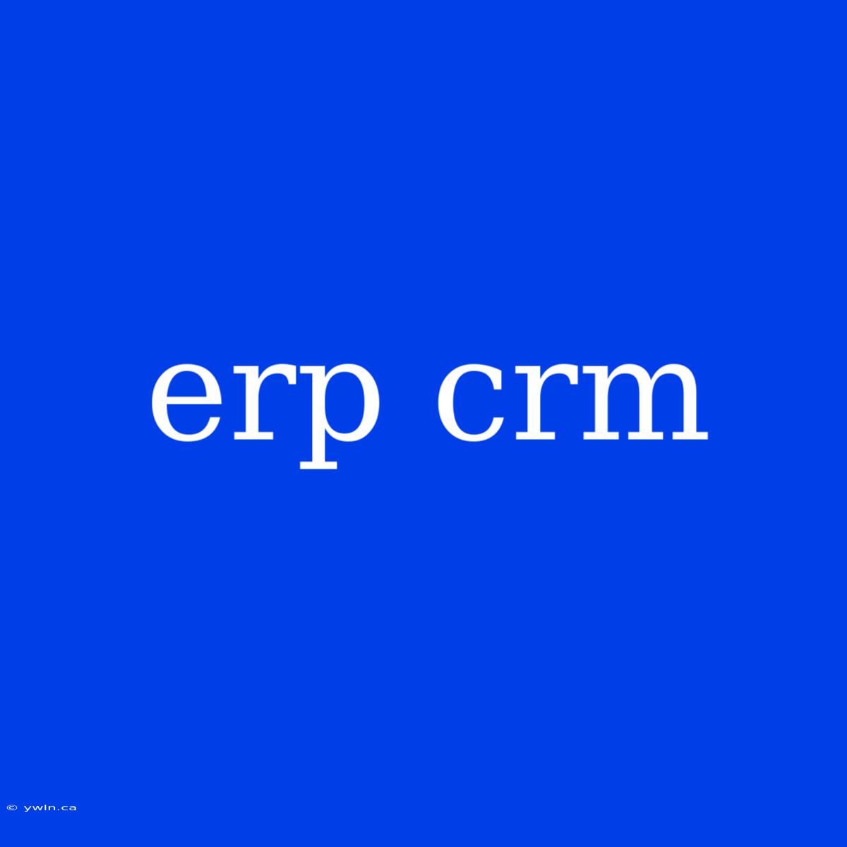 Erp Crm