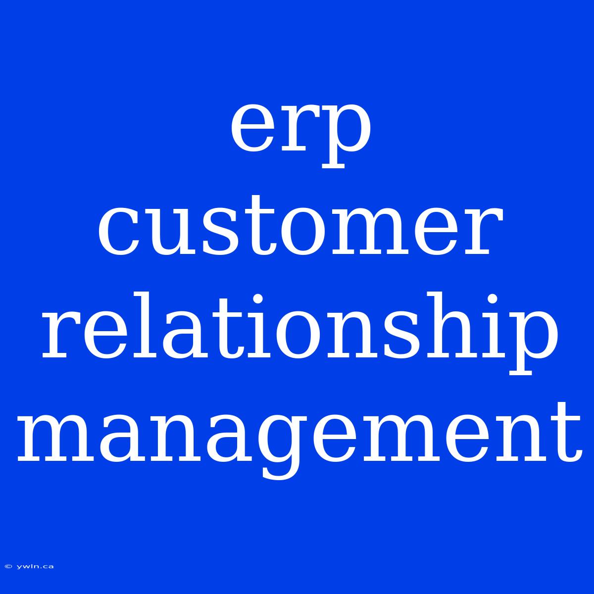 Erp Customer Relationship Management