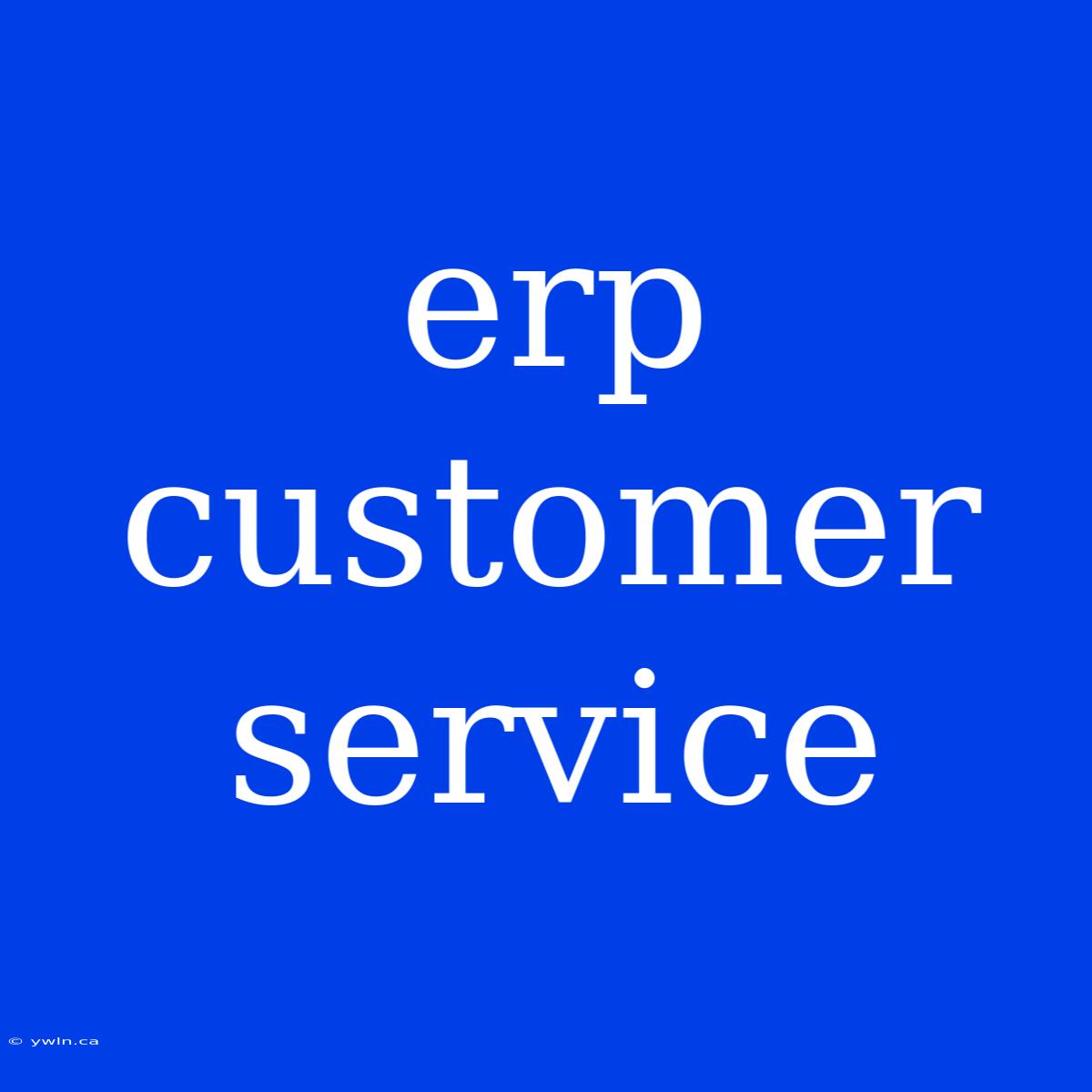 Erp Customer Service