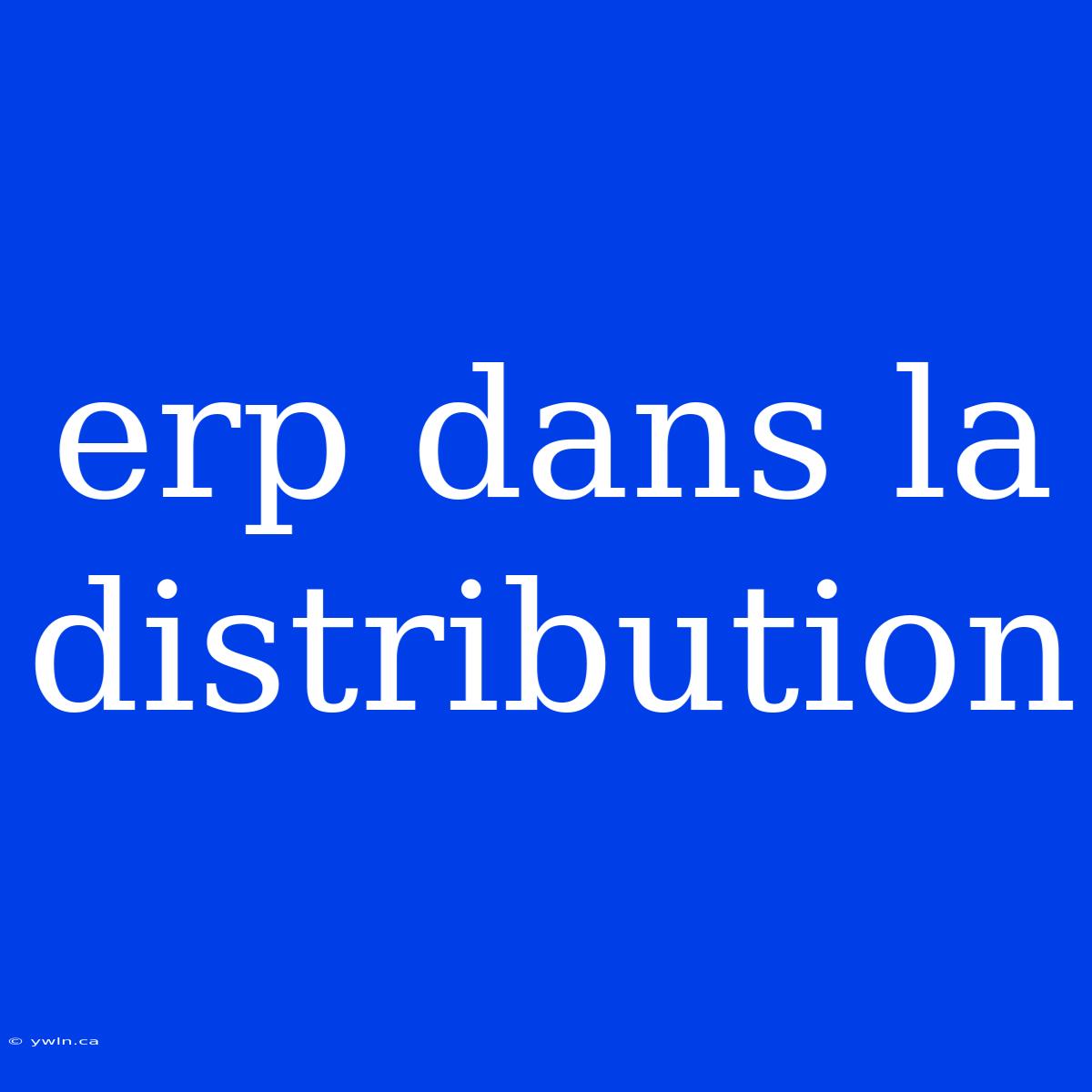 Erp Dans La Distribution