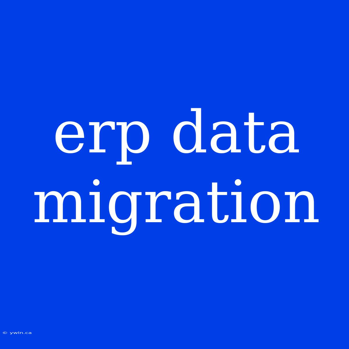 Erp Data Migration