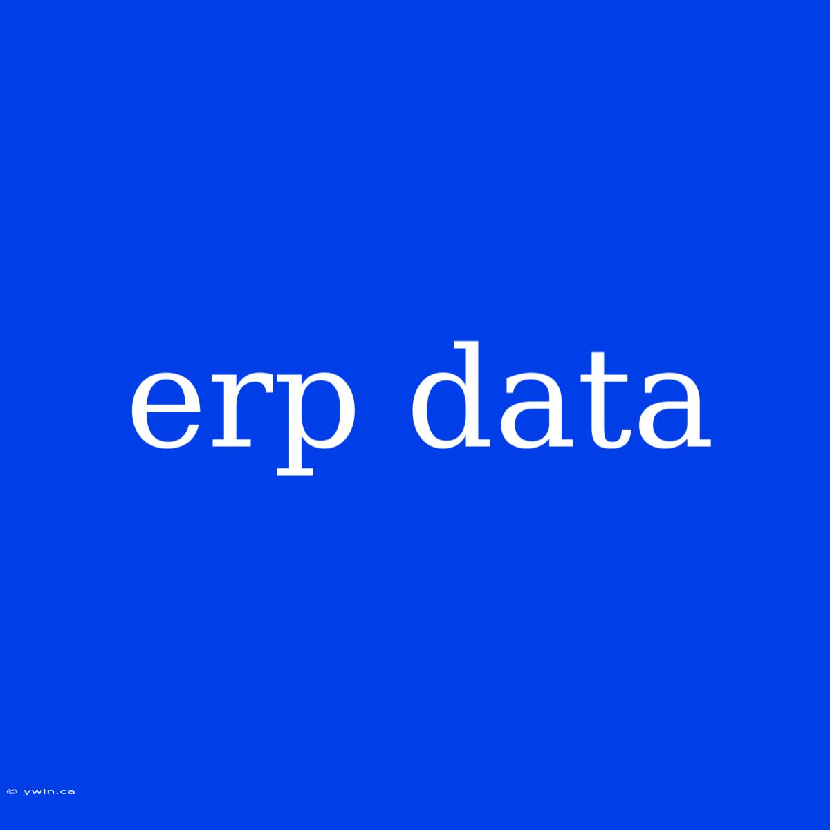 Erp Data