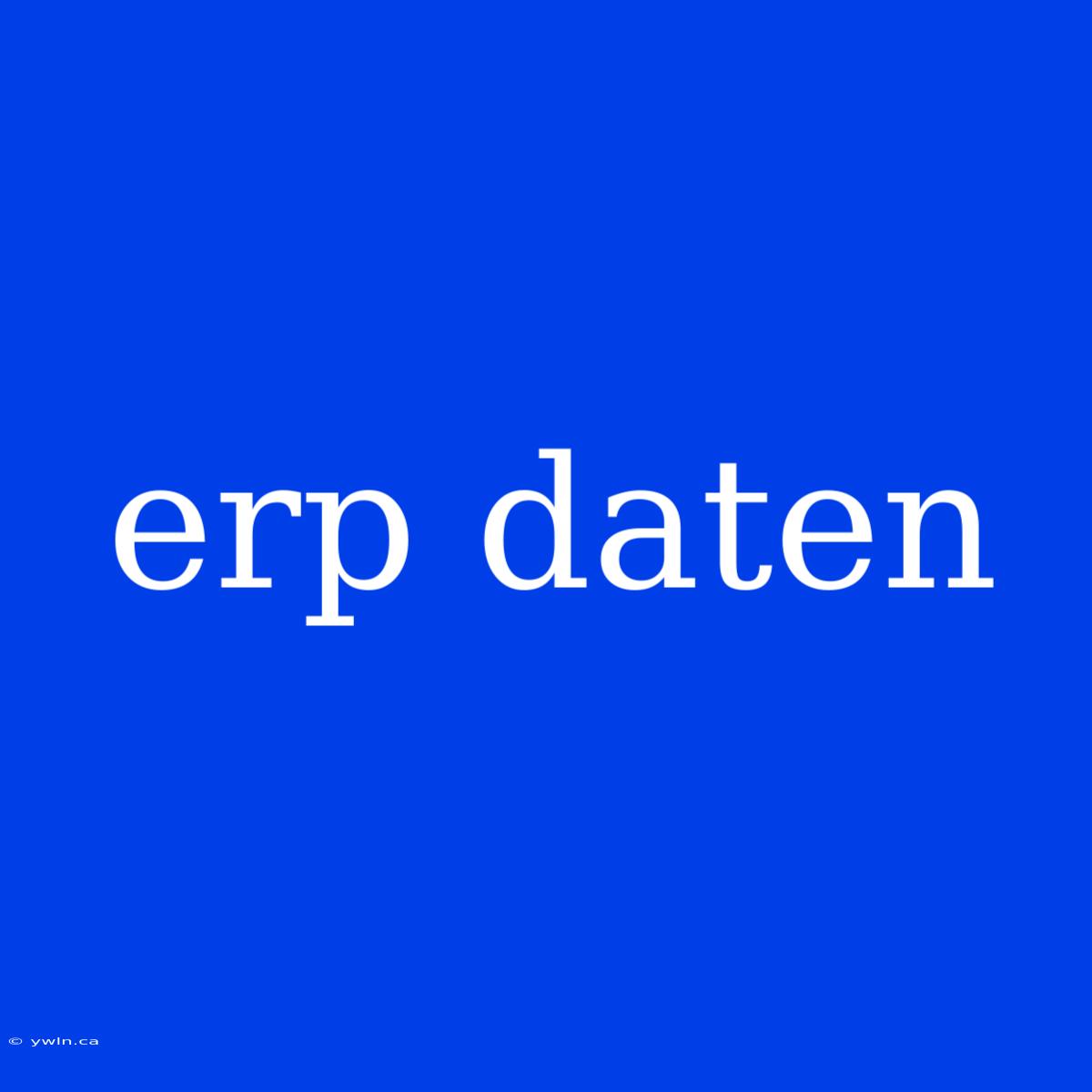 Erp Daten