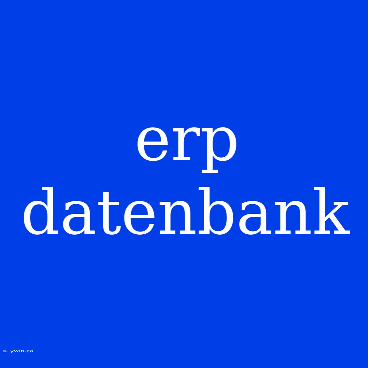 Erp Datenbank