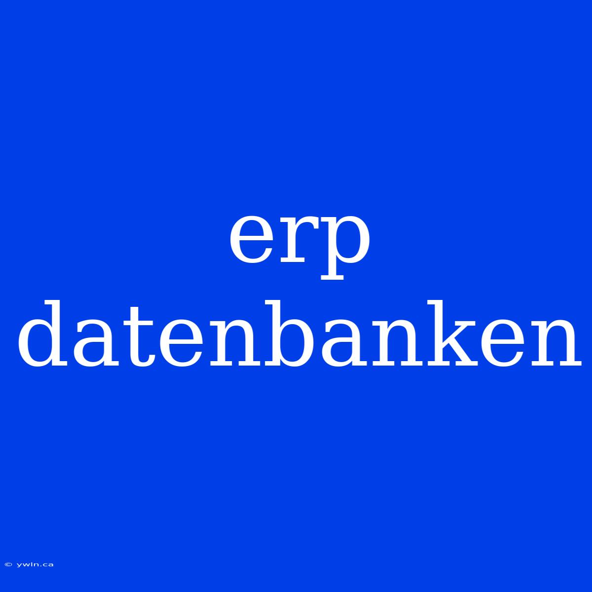 Erp Datenbanken