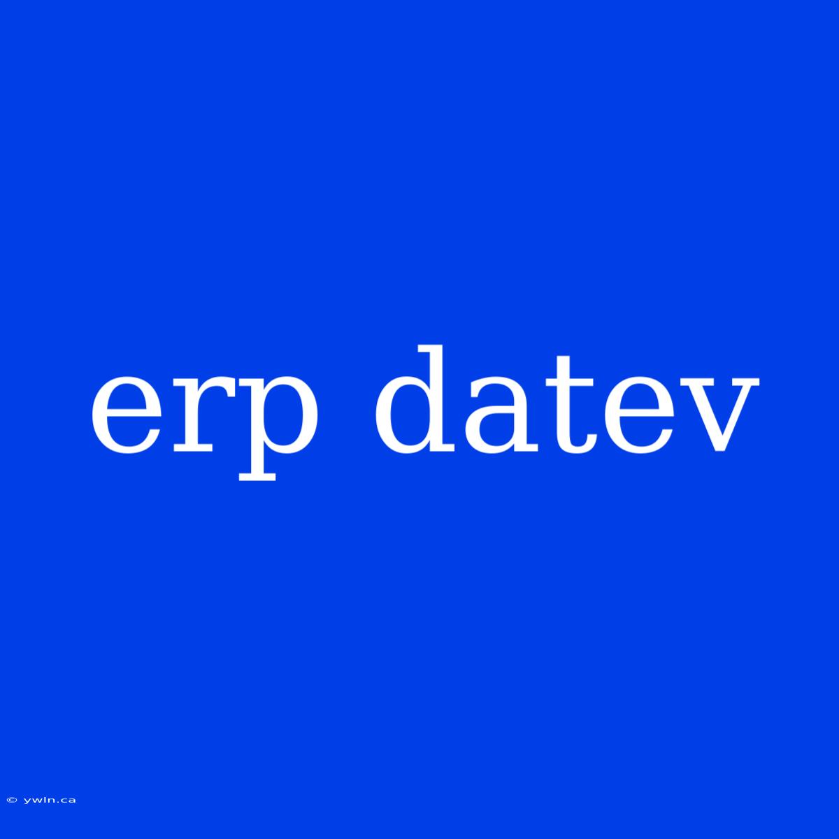 Erp Datev