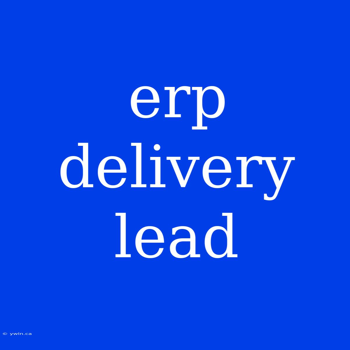 Erp Delivery Lead