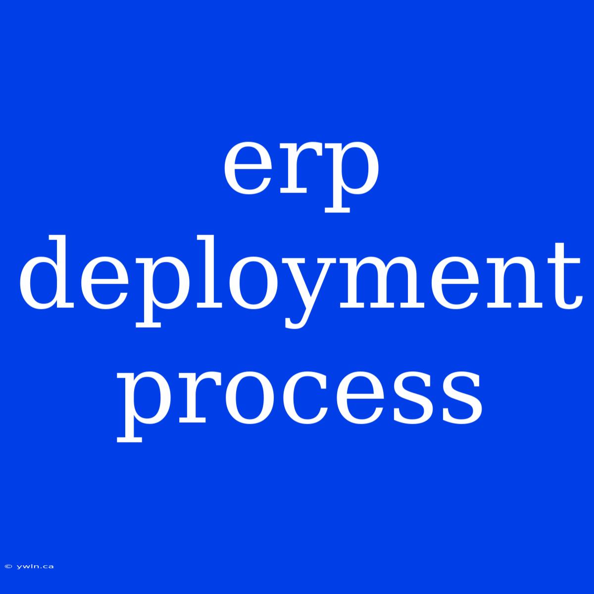 Erp Deployment Process