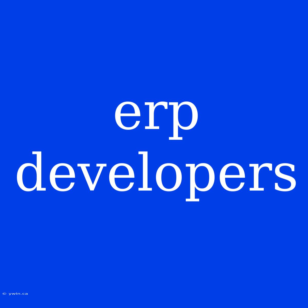 Erp Developers