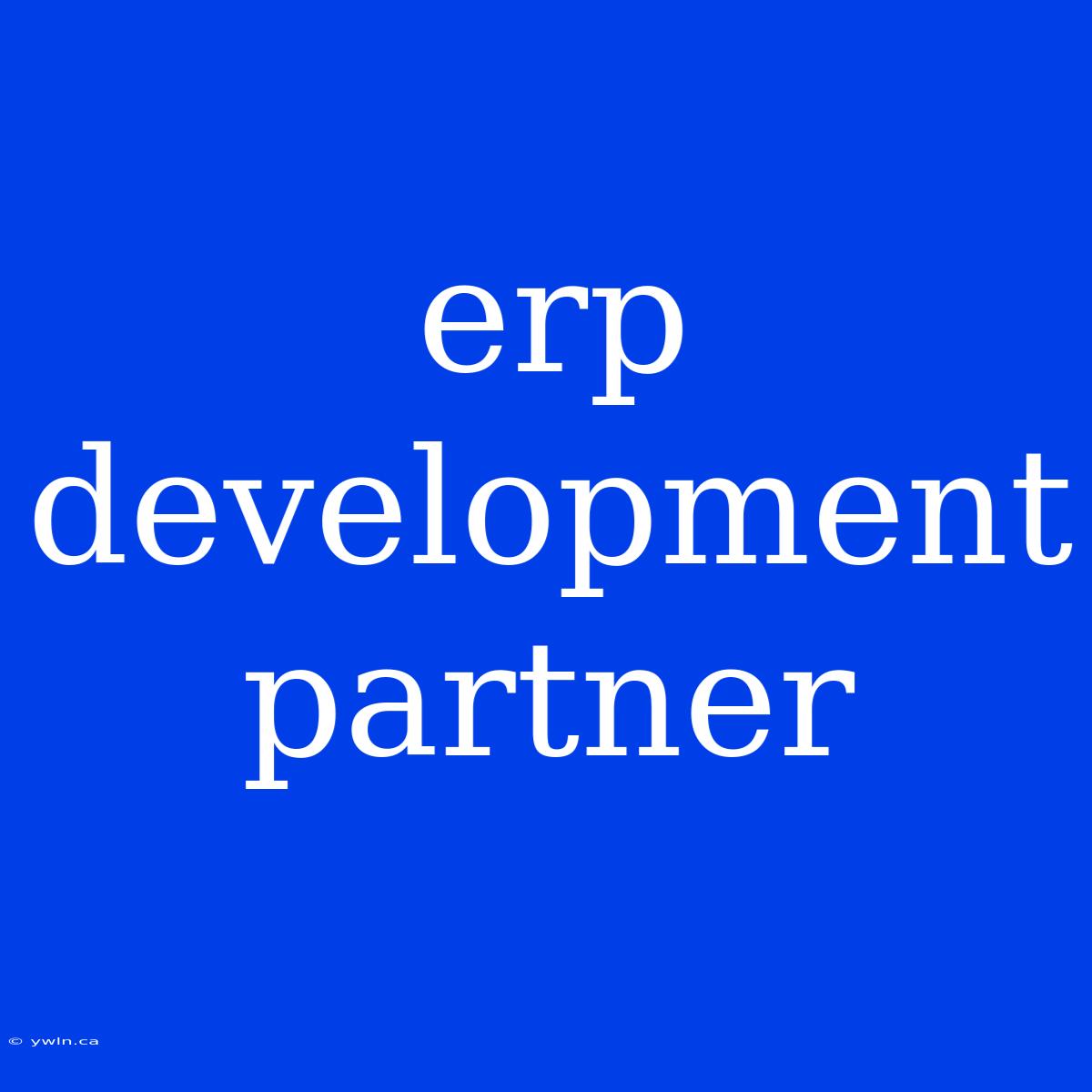 Erp Development Partner