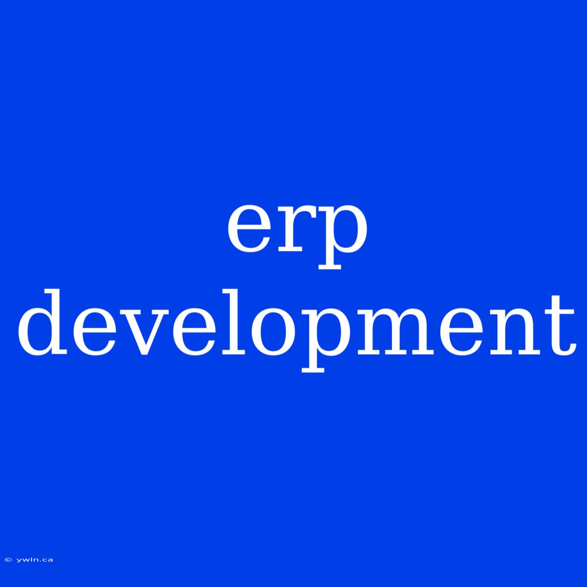 Erp Development