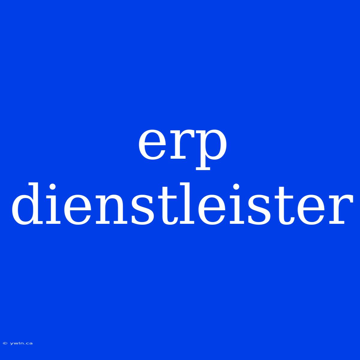 Erp Dienstleister