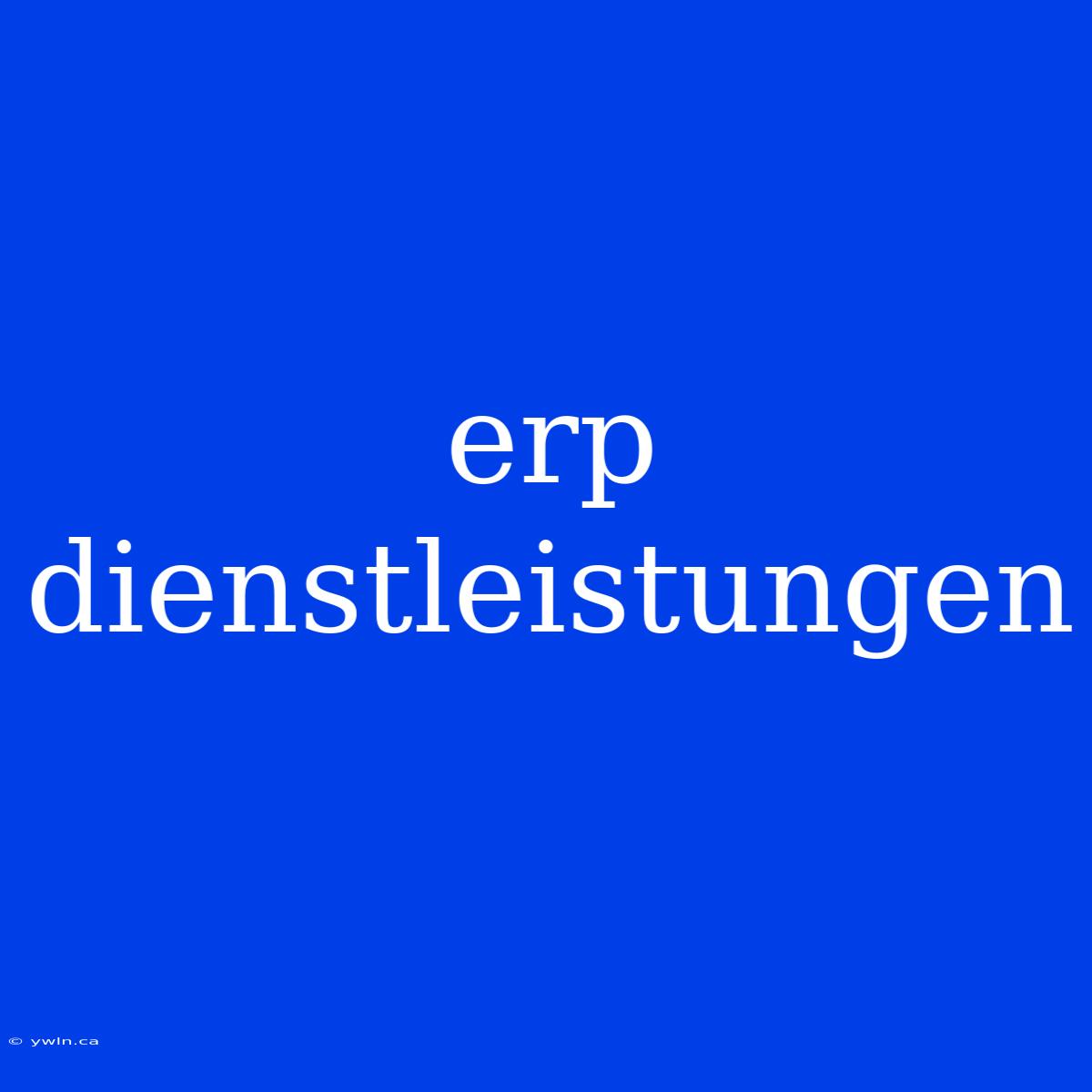 Erp Dienstleistungen