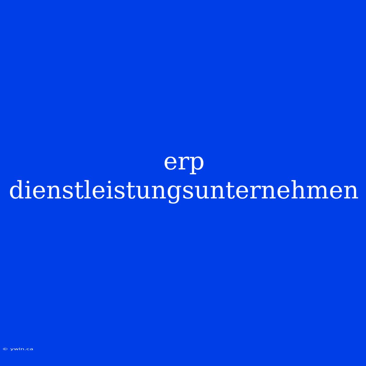 Erp Dienstleistungsunternehmen