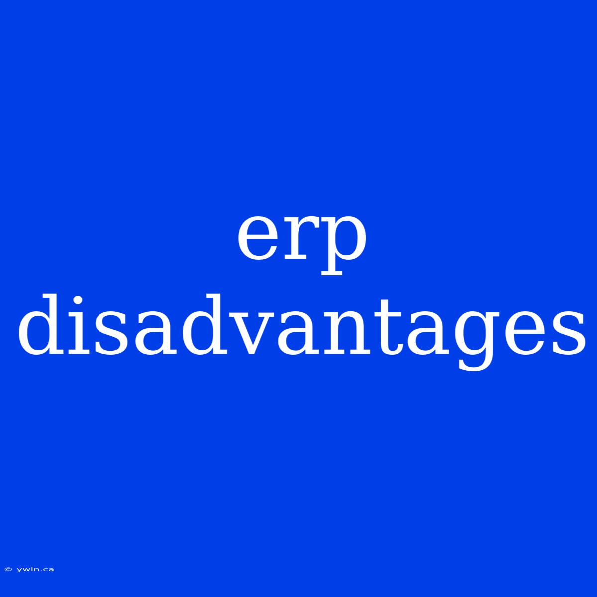 Erp Disadvantages