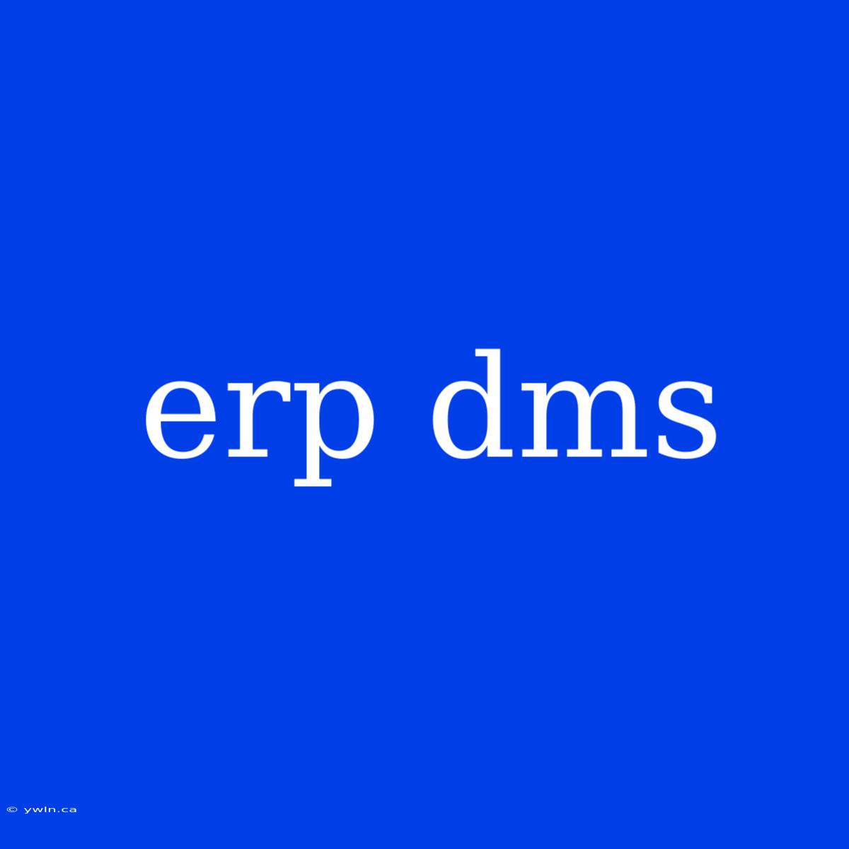 Erp Dms