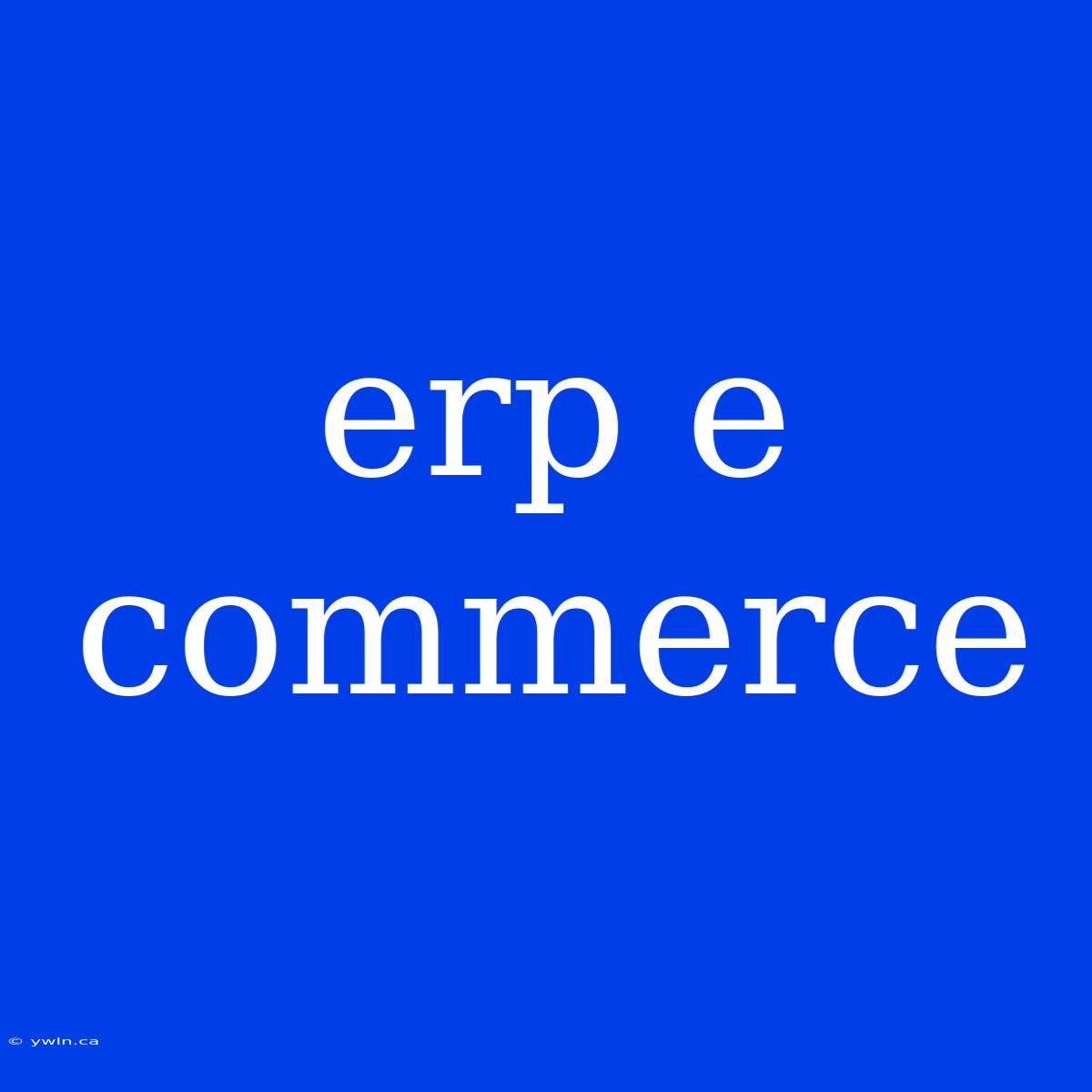 Erp E Commerce