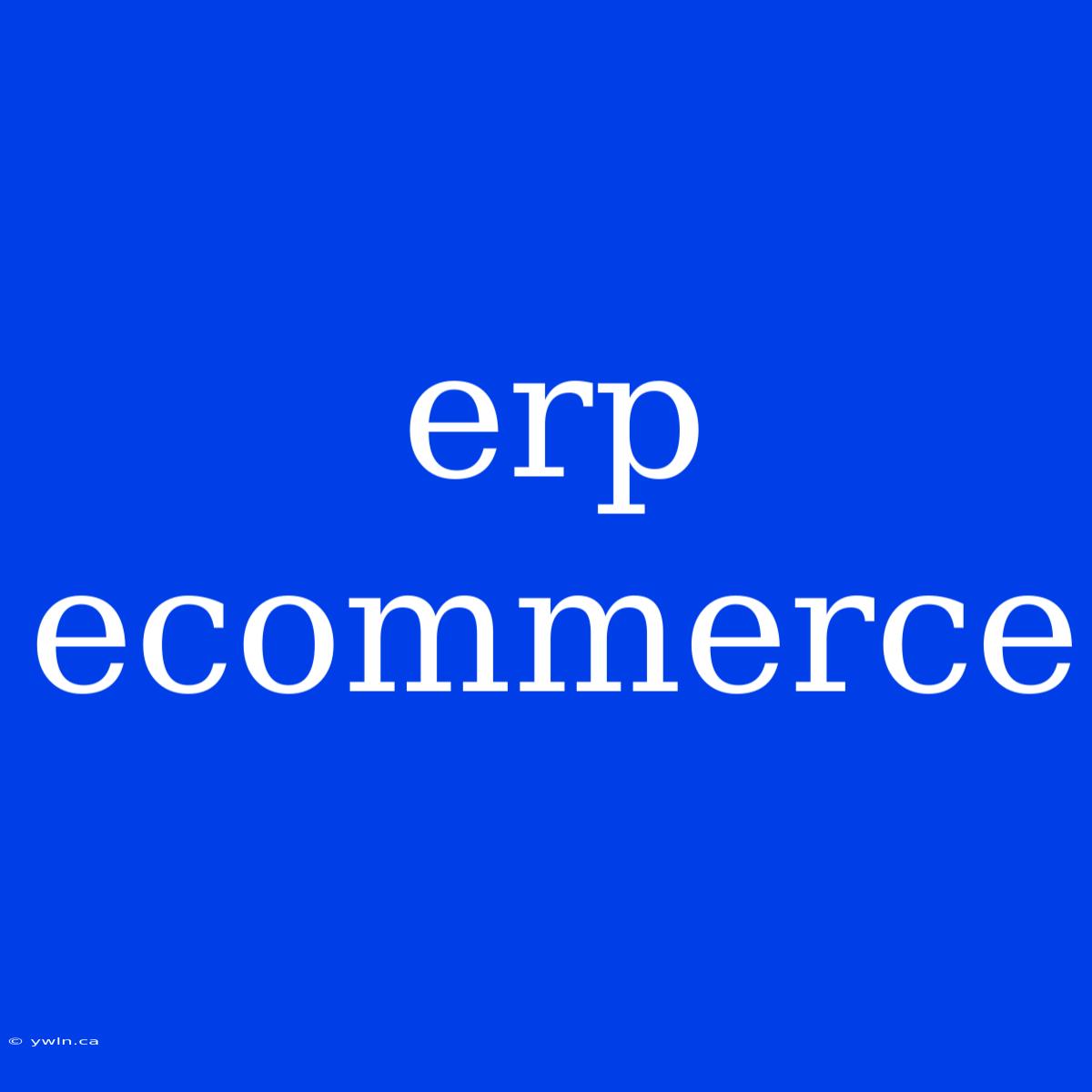 Erp Ecommerce