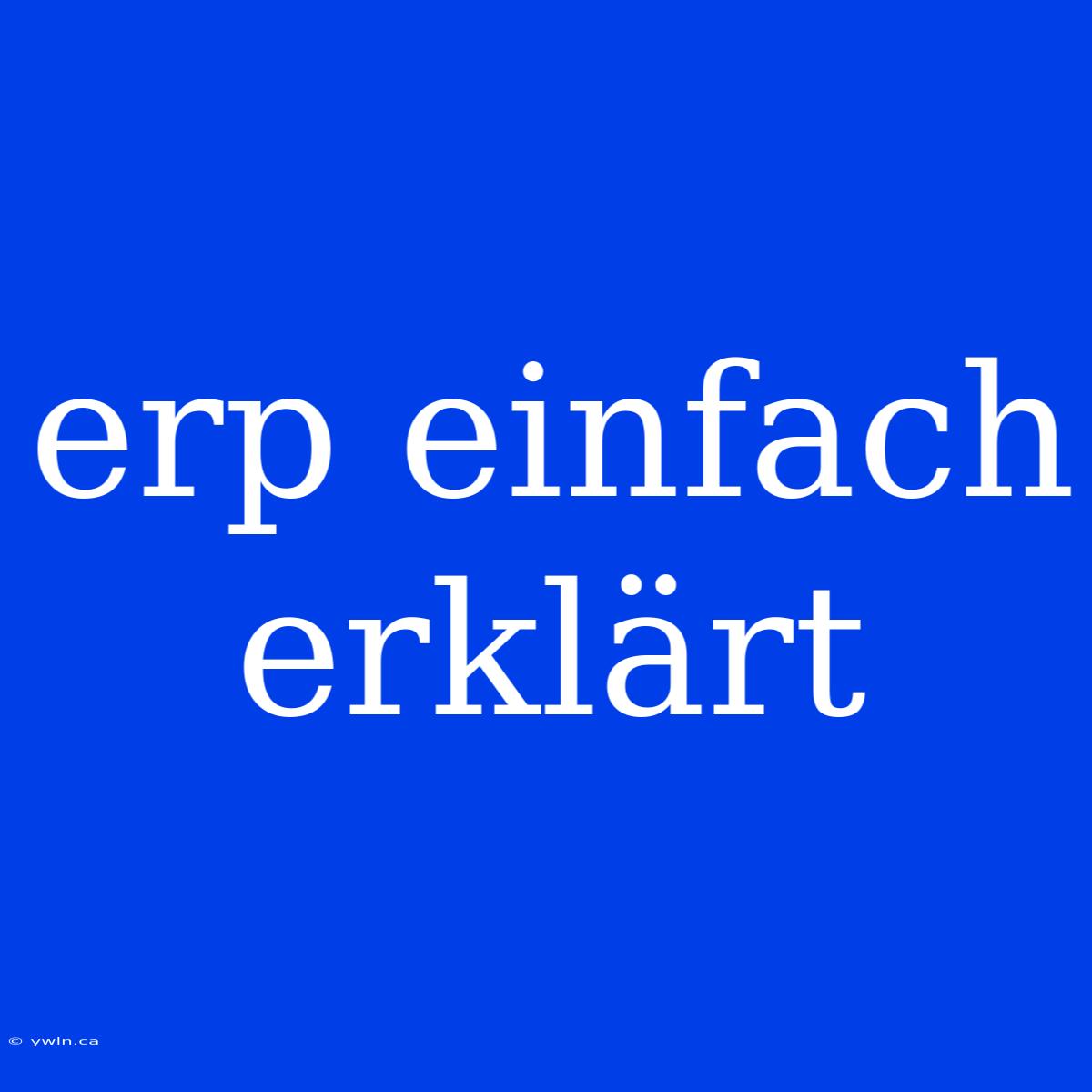 Erp Einfach Erklärt