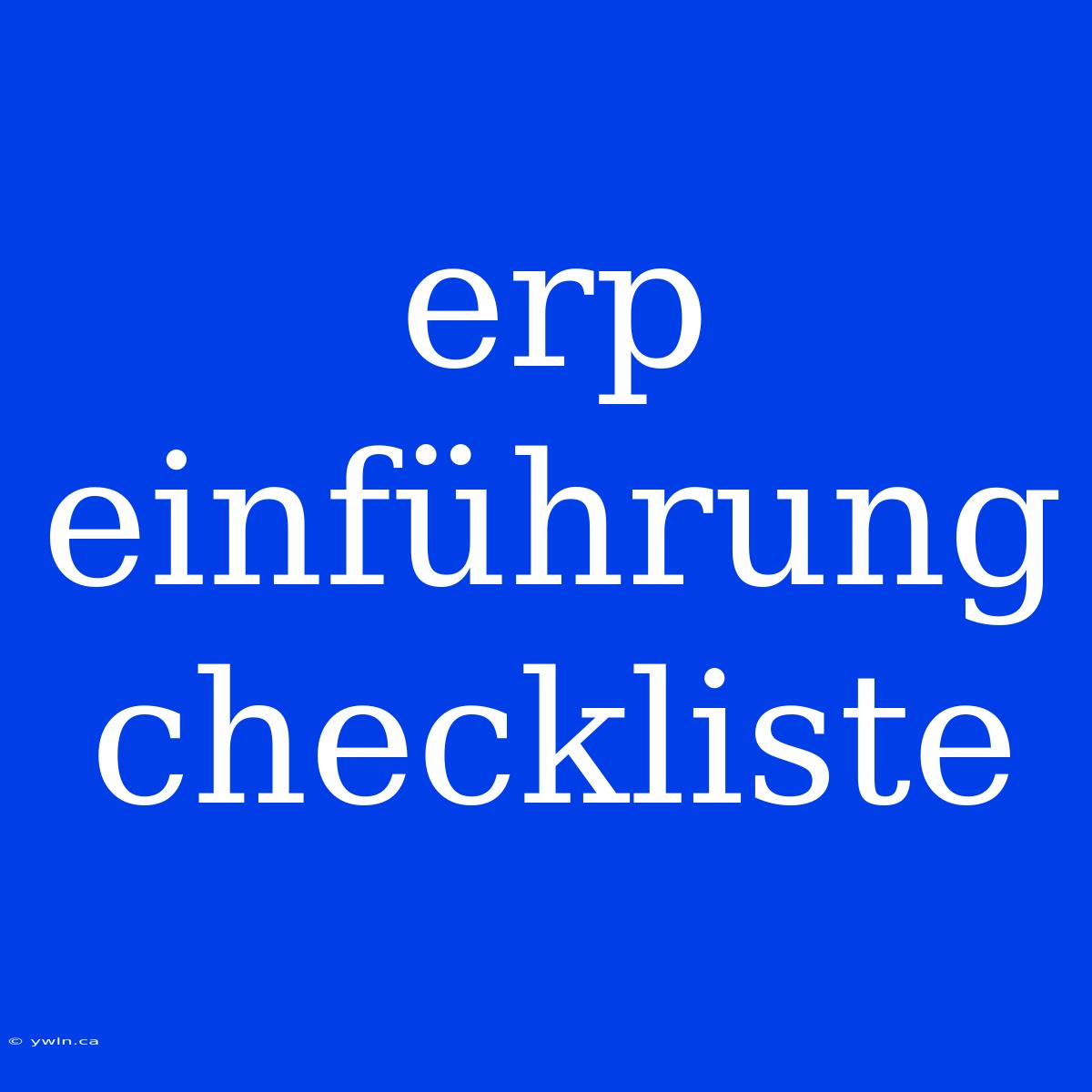 Erp Einführung Checkliste