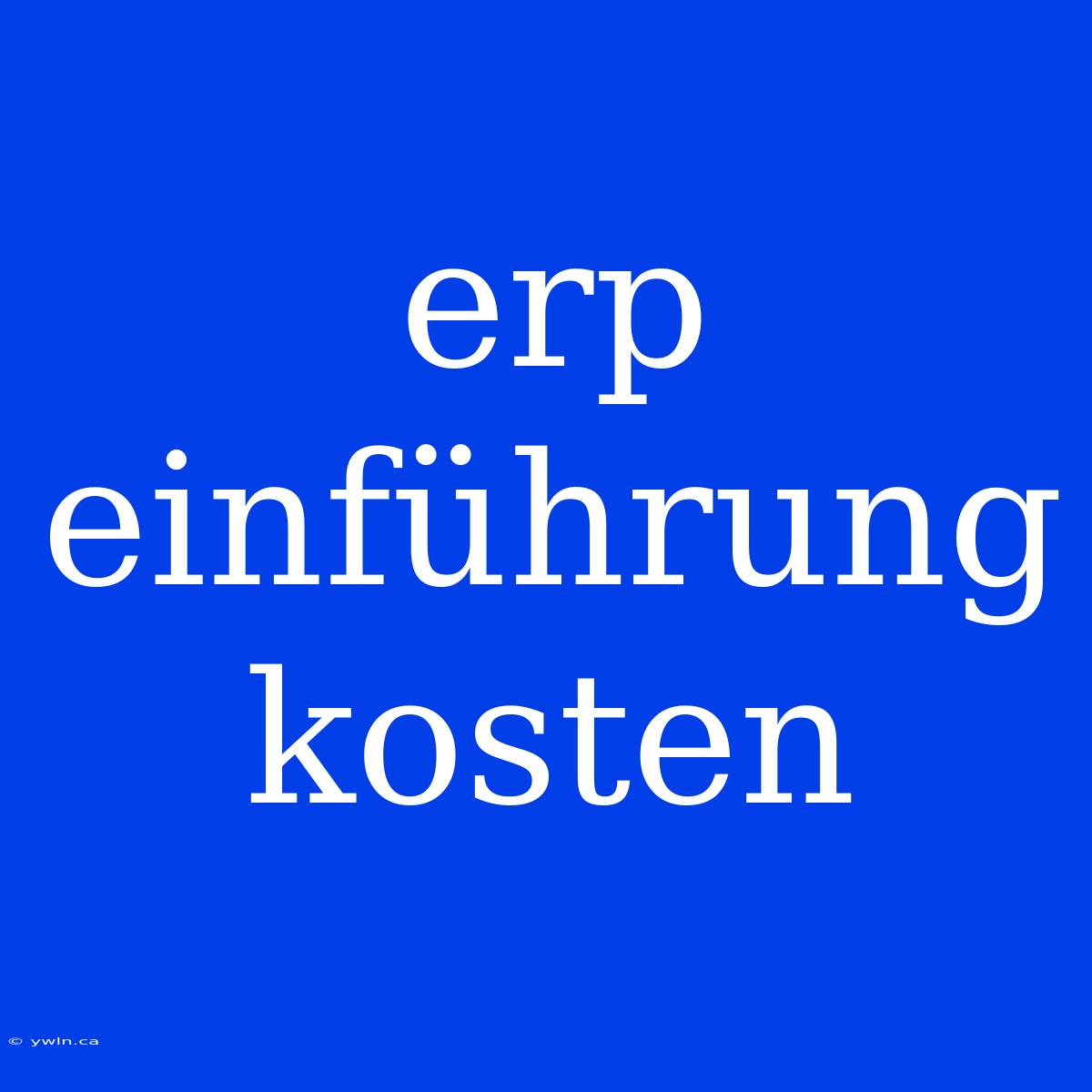 Erp Einführung Kosten