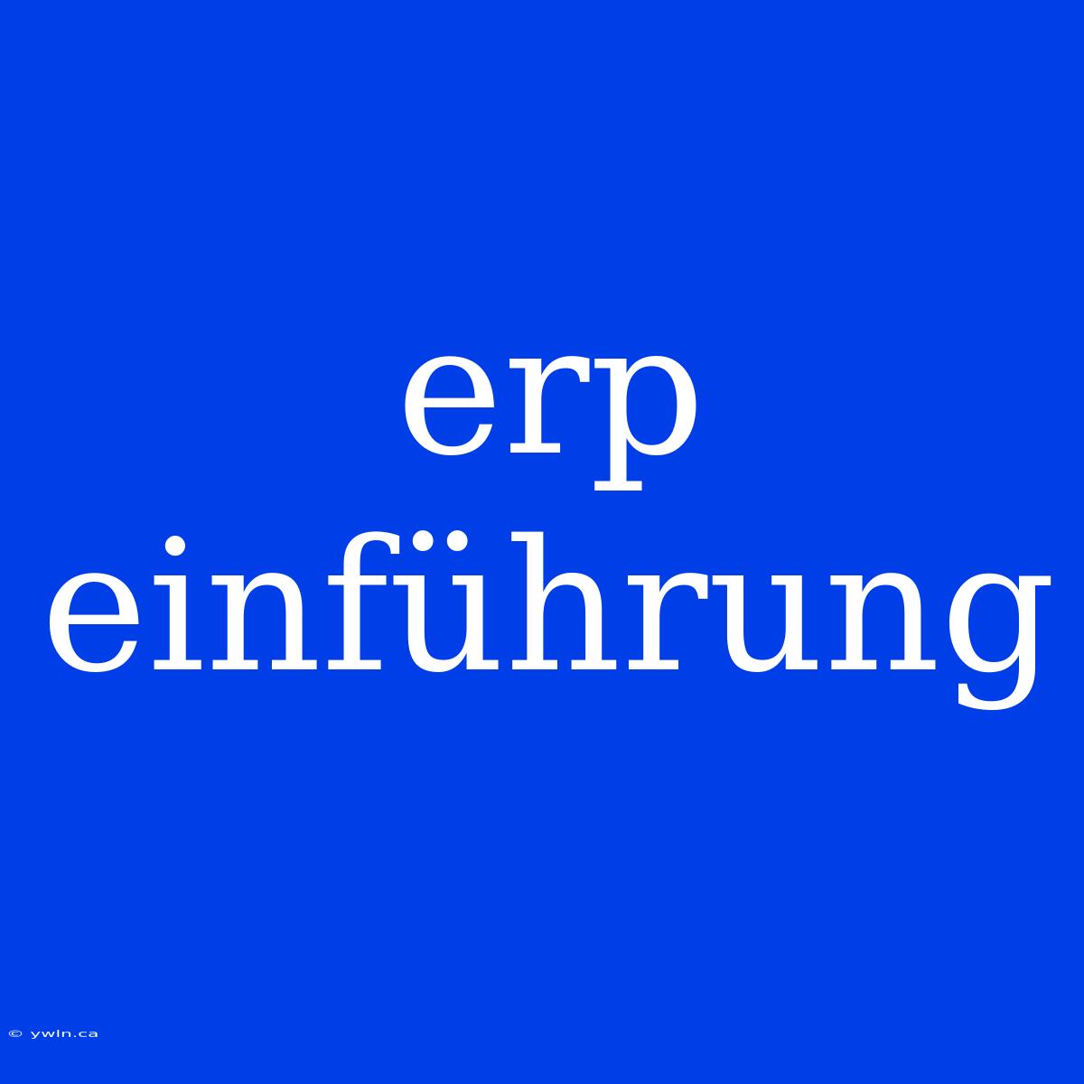 Erp Einführung