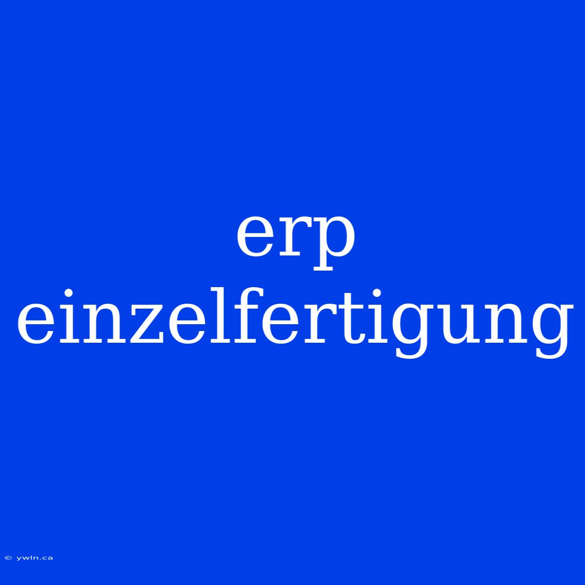 Erp Einzelfertigung