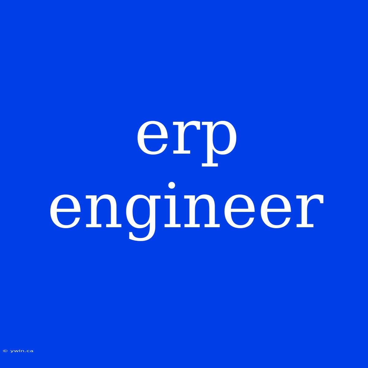 Erp Engineer