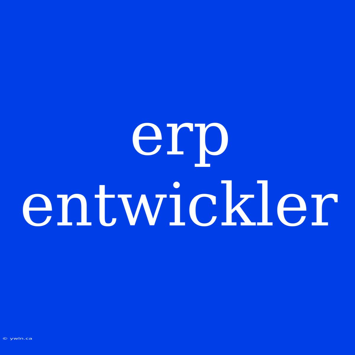 Erp Entwickler