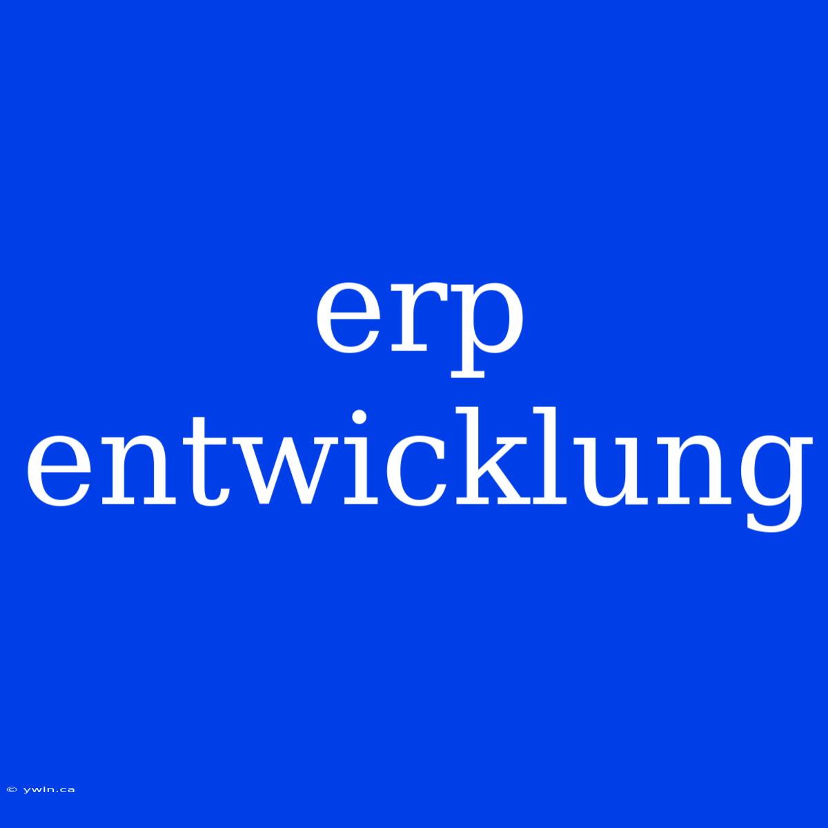 Erp Entwicklung