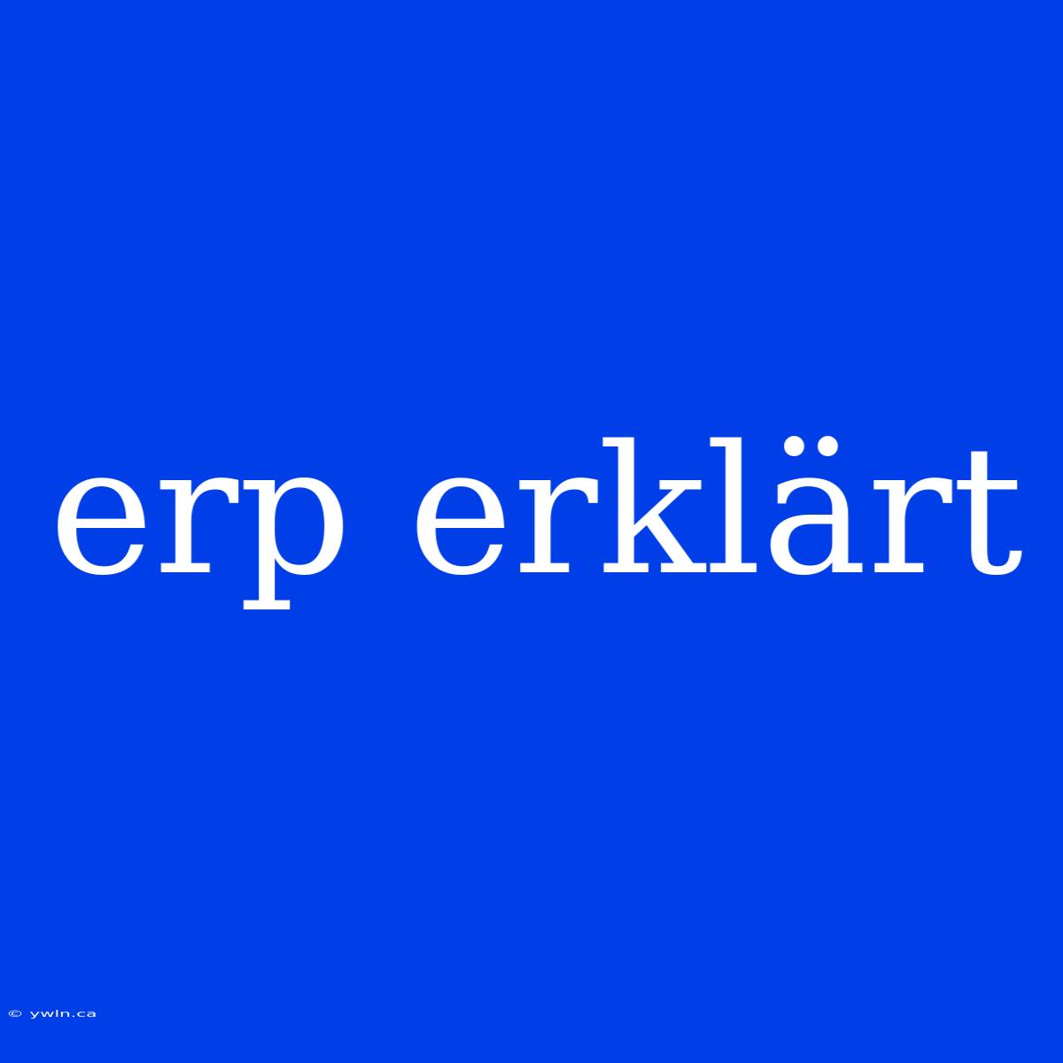 Erp Erklärt