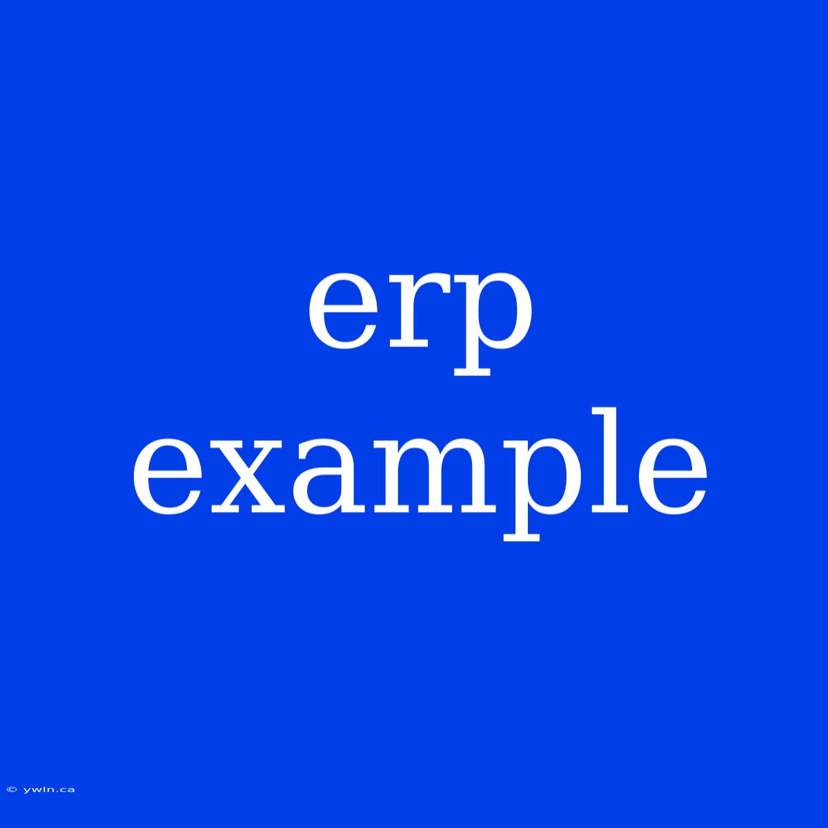 Erp Example