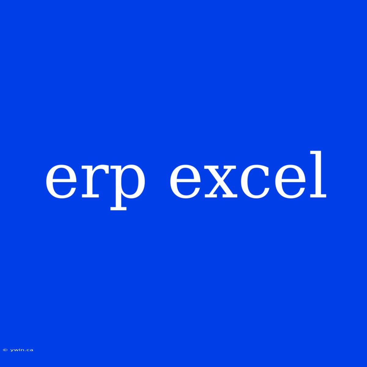 Erp Excel