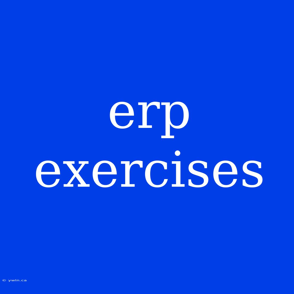 Erp Exercises