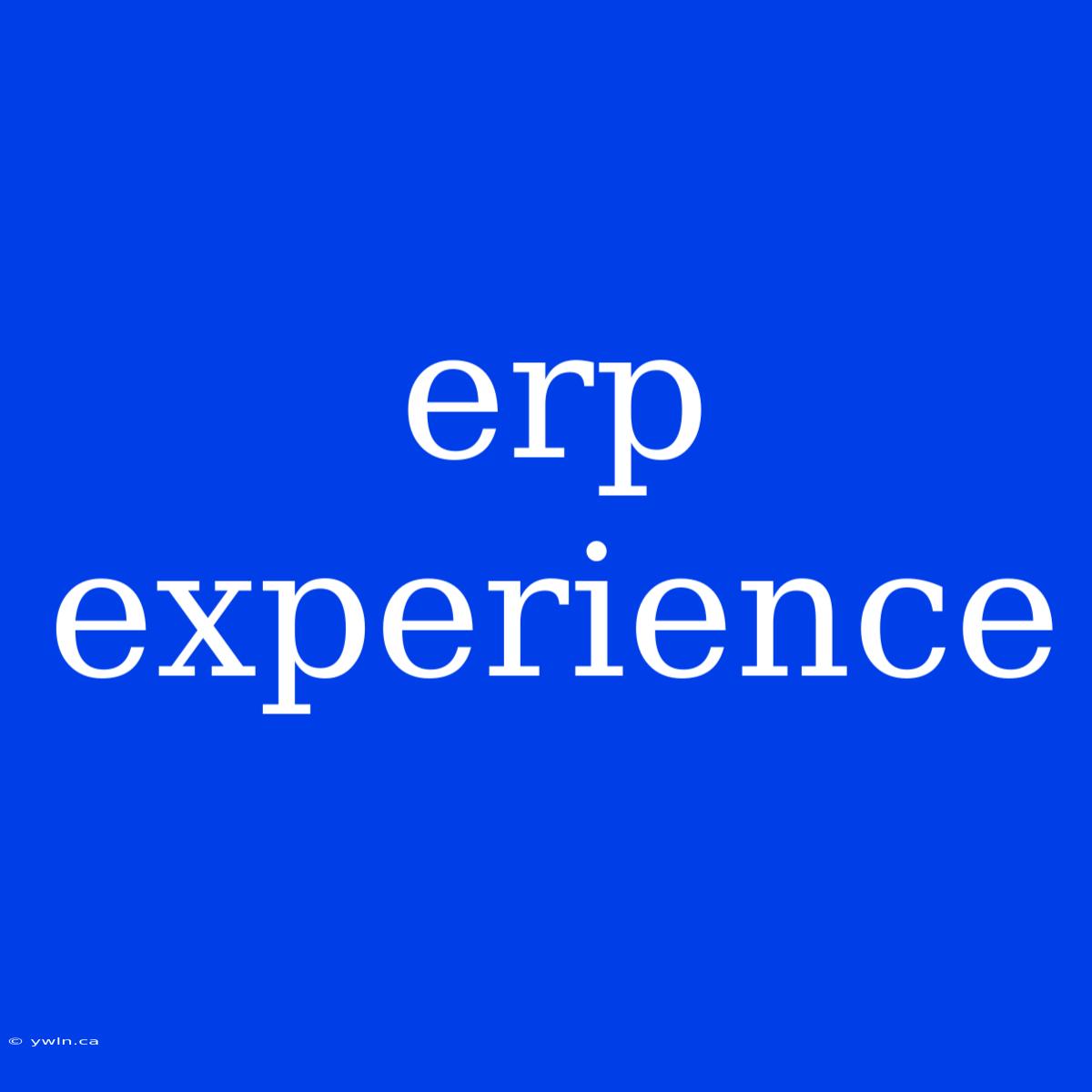 Erp Experience