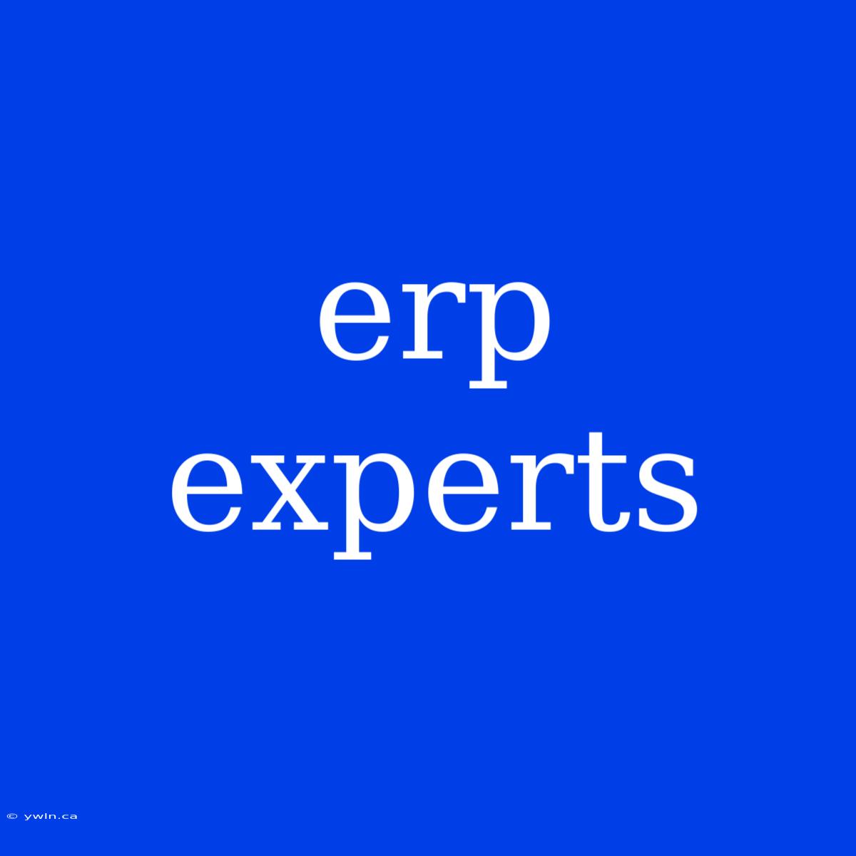 Erp Experts