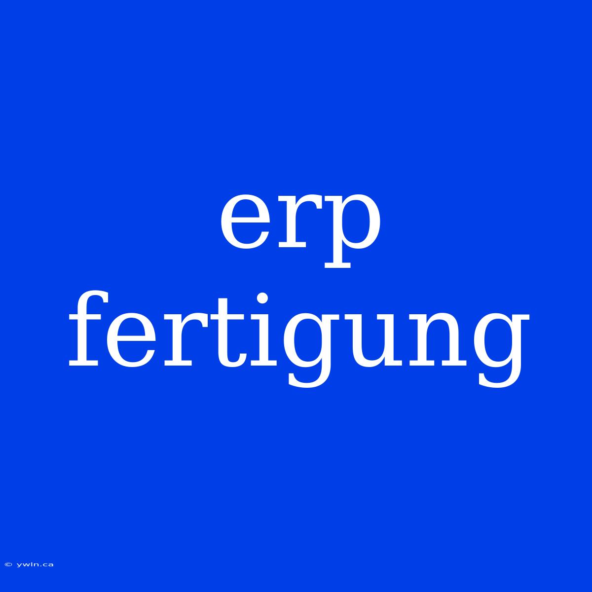 Erp Fertigung