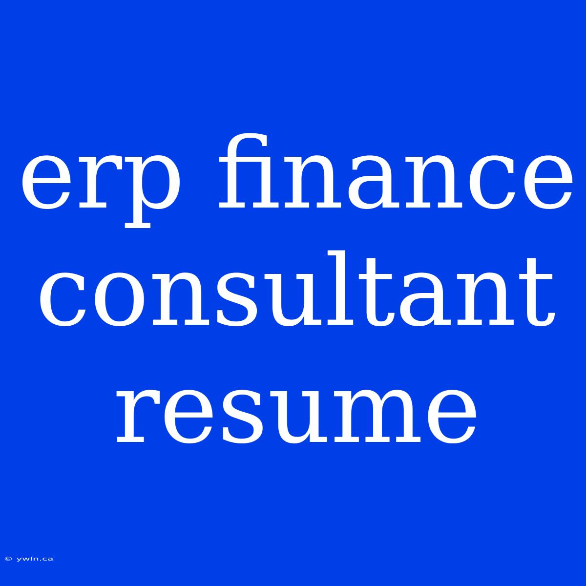 Erp Finance Consultant Resume