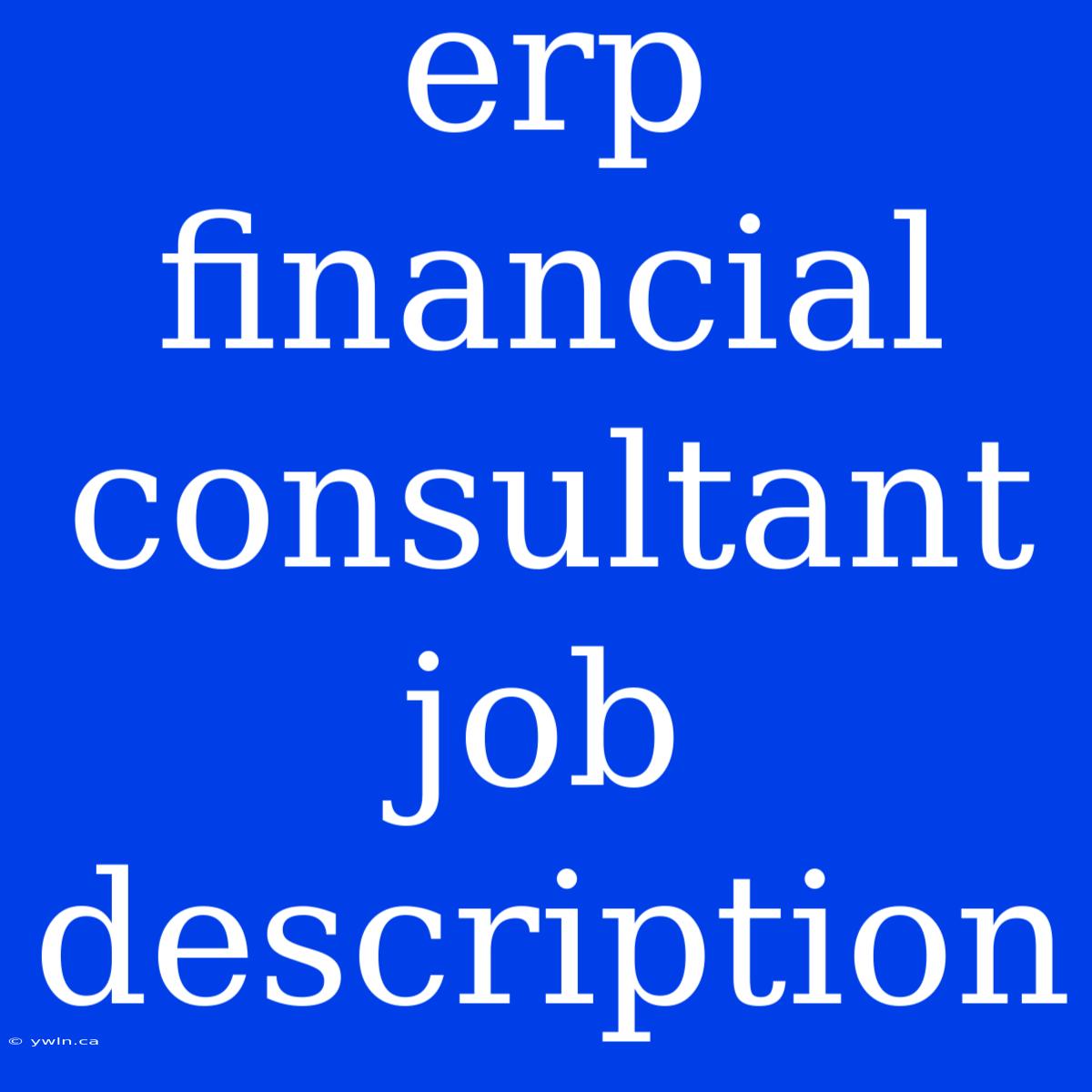 Erp Financial Consultant Job Description