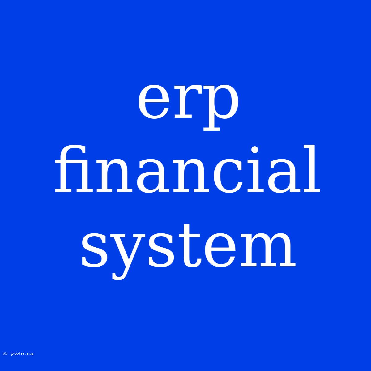 Erp Financial System