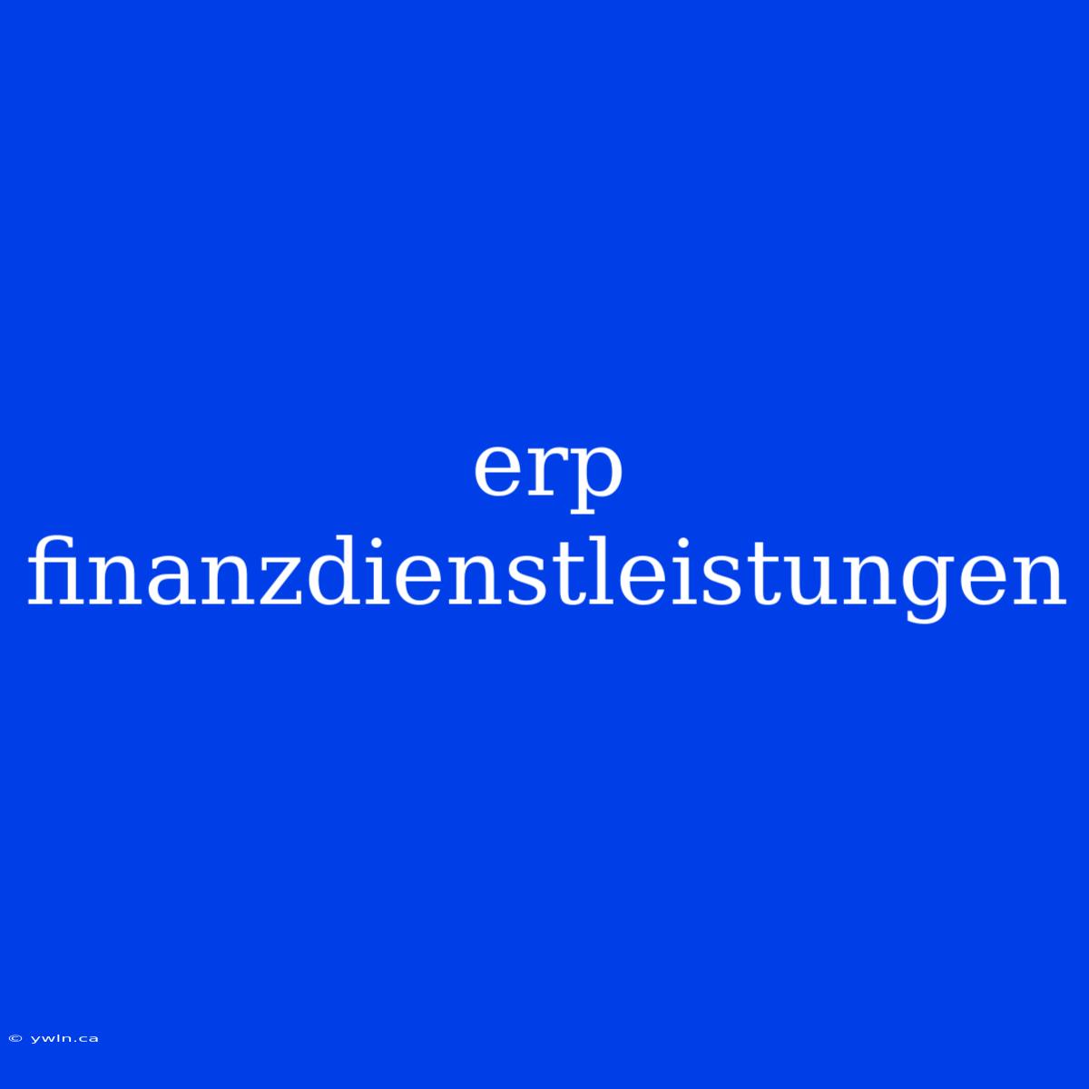 Erp Finanzdienstleistungen